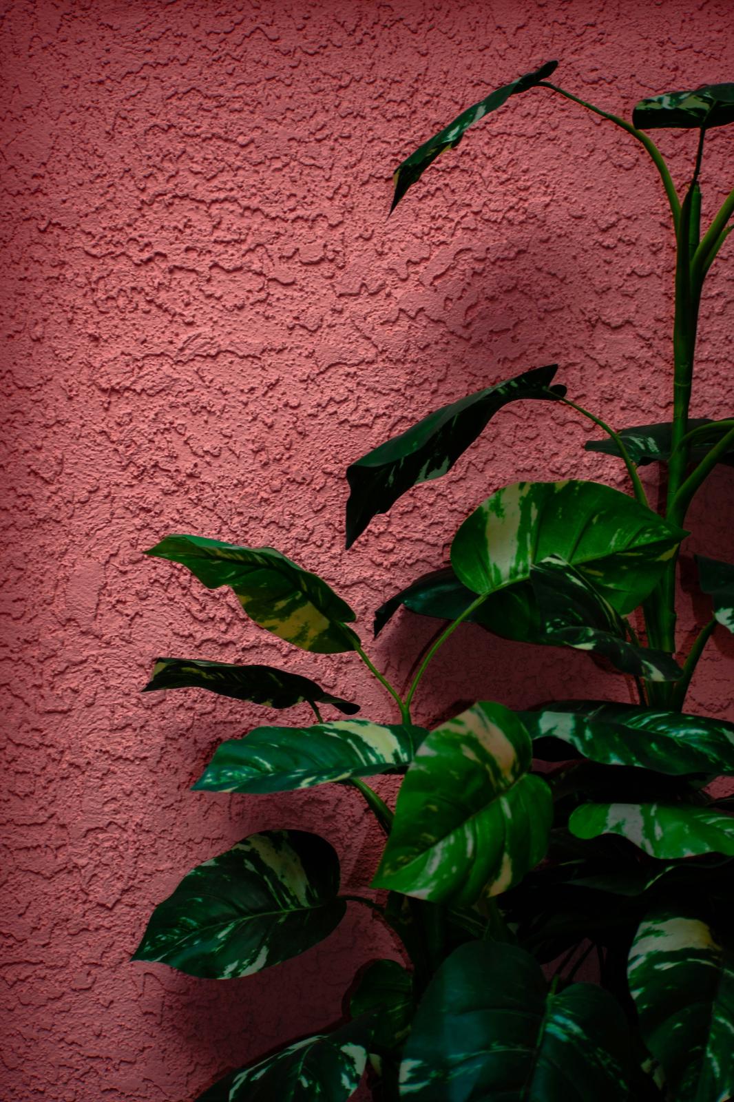 unnamed image