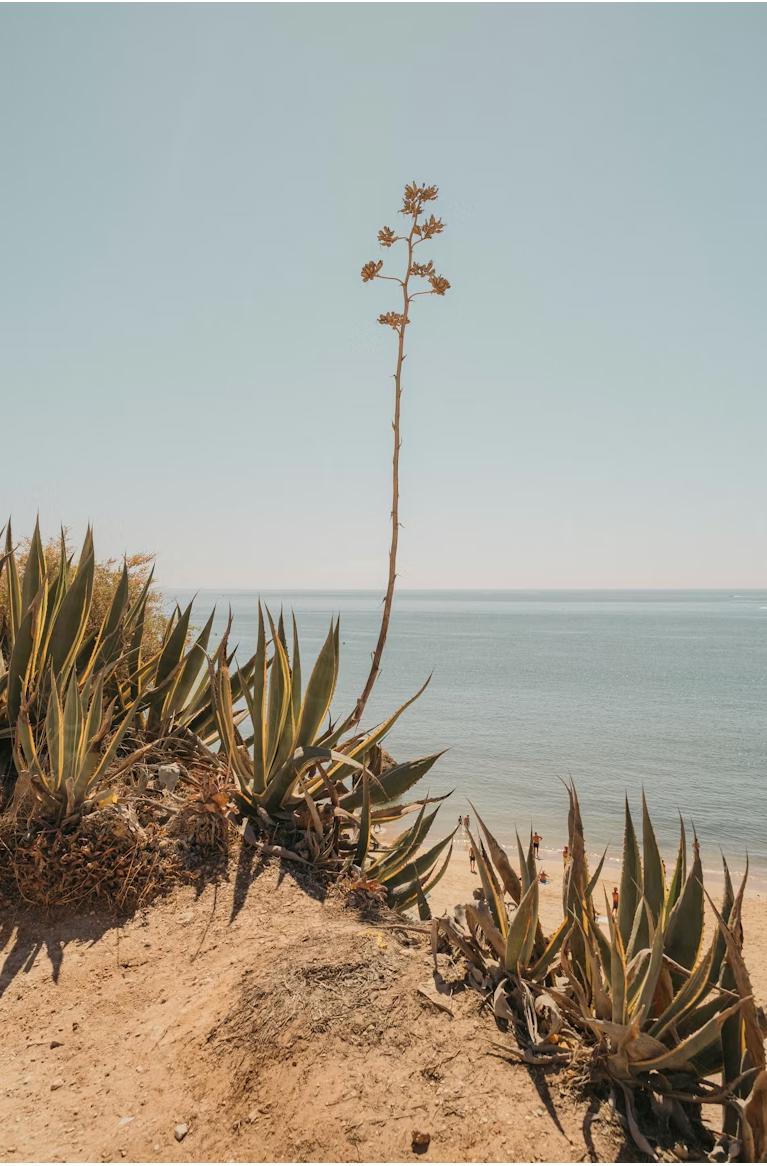 unnamed image